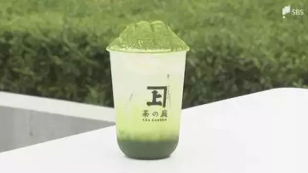 岐路に立つ静岡茶は変われるのか? カギは「グローバルな視点」  将来担う人たちが訴える意識改革の必要性＝静岡