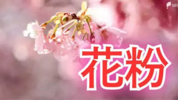 春の厄介者...静岡県内でも「花粉飛散開始」 2月17日は"寒さ戻る"で一部で雪の可能性も=静岡