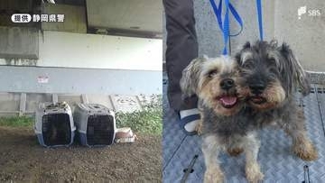 犬を捨てたら拘禁刑1年も ではカメは？金魚は？ 動物愛護法の意外な境界線