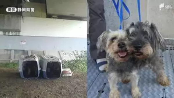 犬を捨てたら拘禁刑1年も ではカメは？金魚は？ 動物愛護法の意外な境界線