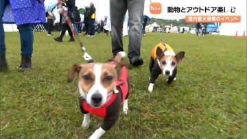 「人にも犬にも刺激的で非日常でいいな」浜名湖ガーデンパークで動物とアウトドアを楽しむイベント開催＝浜松市中央区