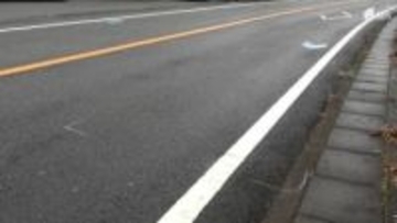 乗用車が高齢女性をはねる事故 「母が自宅を出て行き、探しに行っていた」と娘が110番通報か 女性は意識不明の重体＝静岡・東伊豆町