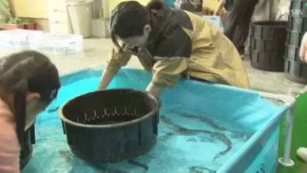 養殖ウナギの産地で「うなぎまつり」にぎわう ミッション成功で「かば焼き」プレゼントも=静岡・吉田町