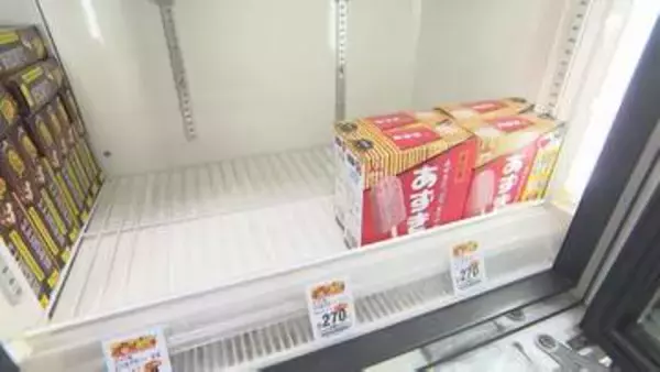 ニチレイで発生したシステム障害で人気アイスが在庫不足に 出荷や配送を順次再開する方針も完全復旧のメドは立たず＝静岡市