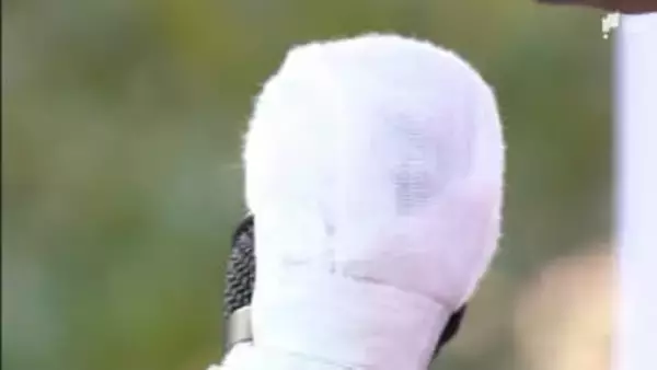 衆議院選挙公示 静岡県内8小選挙区に26人立候補届け出 2月8日投開票 各選挙区の顔触れは