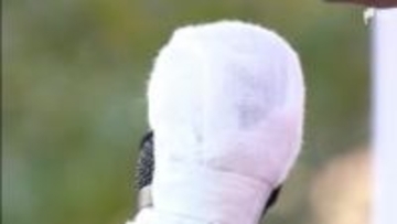 衆議院選挙公示 静岡県内8小選挙区に26人立候補届け出 2月8日投開票 各選挙区の顔触れは