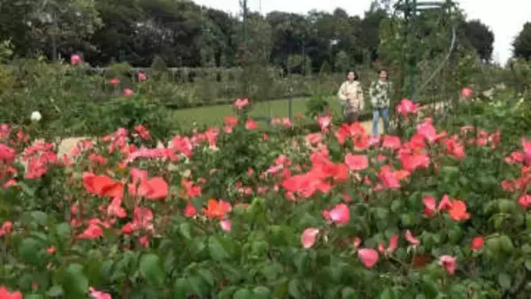 「河津バガテル公園」赤字で民間の指定業者は来春"撤退へ" 新町長は3つの選択肢を検討=静岡・河津町