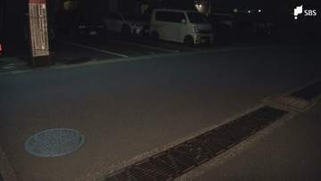 乗用車が小学生をはねて逃走 一旦停車した運転手の女「大丈夫？」と声かけるも救護措置などせず...ひき逃げ事件として捜査＝静岡県警