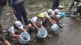 「「大きくなって戻ってきて」アユ釣り解禁前に小学生がアユ1万5000匹放流＝静岡・河津町」の画像1
