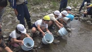 「大きくなって戻ってきて」アユ釣り解禁前に小学生がアユ1万5000匹放流＝静岡・河津町