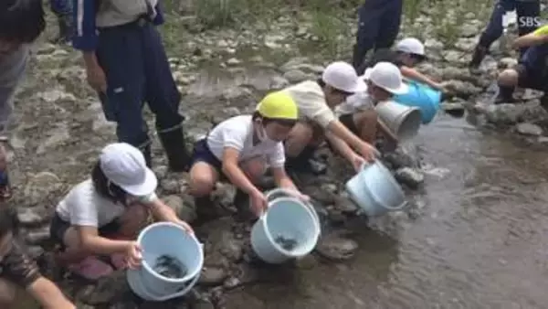 「大きくなって戻ってきて」アユ釣り解禁前に小学生がアユ1万5000匹放流＝静岡・河津町