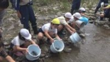 「大きくなって戻ってきて」アユ釣り解禁前に小学生がアユ1万5000匹放流＝静岡・河津町