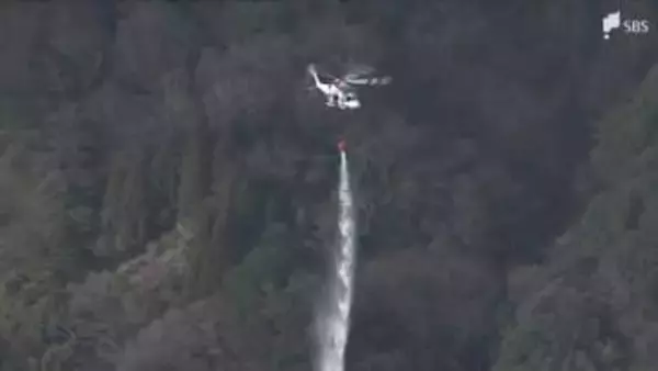 ぽかぽか陽気も…乾燥続く 静岡県内も火の取り扱いに要注意「強烈寒波」の影響は？