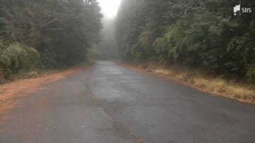 「山に置き去りにされた少年を保護している」8歳の男の子を山に置き去りにしたか…母親と交際相手を逮捕＝静岡県警