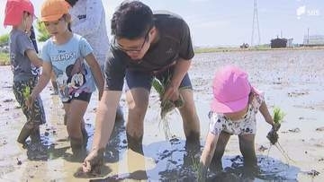田植えを園児たちが体験 丁寧に一つ一つ 終わったあとは「泥遊び」＝静岡・袋井市