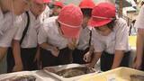 「「おいしく食べられるので子どもたちに伝えたい」小学生が未利用魚を学ぶ特別授業 見て食べて...豊かな海の可能性を実感＝静岡・熱海市」の画像1