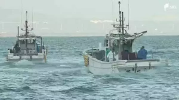 「駿河湾の特産「サクラエビ」春漁スタート 天候不良で解禁日から5日遅れで初漁＝静岡・由比漁港」の画像