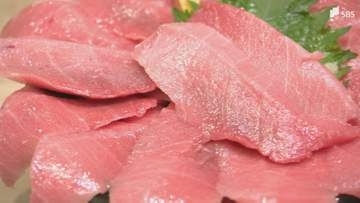 「逃がさなければいけないのはつらい」増えたクロマグロがとりたくてもとれない! 日本が漁獲枠の拡大求めた国際会議で合意ならず...とれたマグロを放流するしかない状態＝静岡