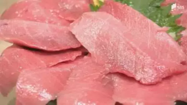 「逃がさなければいけないのはつらい」増えたクロマグロがとりたくてもとれない! 日本が漁獲枠の拡大求めた国際会議で合意ならず...とれたマグロを放流するしかない状態＝静岡