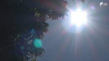 浜松市天竜で36.2℃「猛暑日」に 天竜では最高気温39℃予想も 天気の急変と熱中症にも注意必要＝静岡