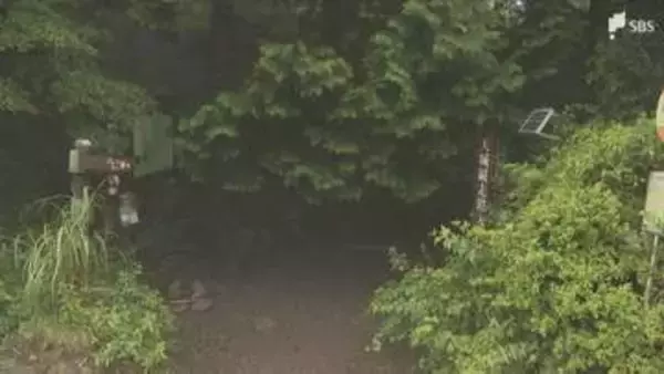 「登山中に滑落してしまいました」天城山で70代・40代の親子が20メートル滑落 静岡県の防災ヘリで救助
