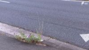 歩道から車道に転倒、走って来た車にはねられたか 歩行者の87歳男性死亡＝浜松市中央区