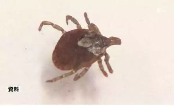 マダニ媒介の感染症「SFTS」患者 県内で2026年2人目確認 県が注意呼びかけ＝静岡県