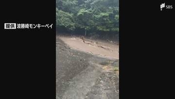 【台風情報】南伊豆町で土砂崩れが発生 下田市と南伊豆町で全域に避難指示 台風8号は温帯低気圧に変わるも...台風7号が夕方頃に静岡県内最接近へ （27日午前11時現在）