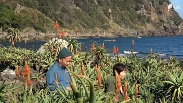 「ちょっと苦みがあって」観光客に振る舞ったのはアロエをトッピングした豚汁 恒例の「アロエの花まつり」始まる＝静岡・下田市