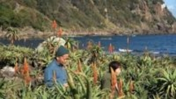 「ちょっと苦みがあって」観光客に振る舞ったのはアロエをトッピングした豚汁 恒例の「アロエの花まつり」始まる＝静岡・下田市