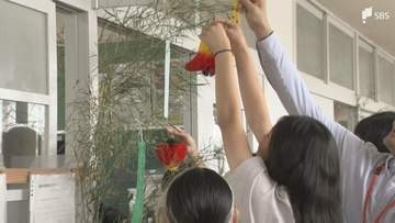 「サッカーコートを作ってほしい」七夕前に小学生が七夕の飾り付け テーマ「税金の使い道」を託す＝静岡・富士市