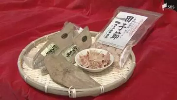 140年続く伝統の田子節と「潮かつお」を未来へ！反対乗り越えグランプリ獲得の5代目の挑戦＝静岡・西伊豆町