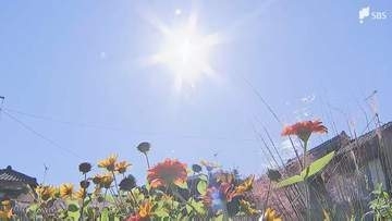 「一気に暑くなると体がついていかない」 浜松市天竜区で31.8℃ 県内は快晴で1週間ぶりの真夏日＝静岡県