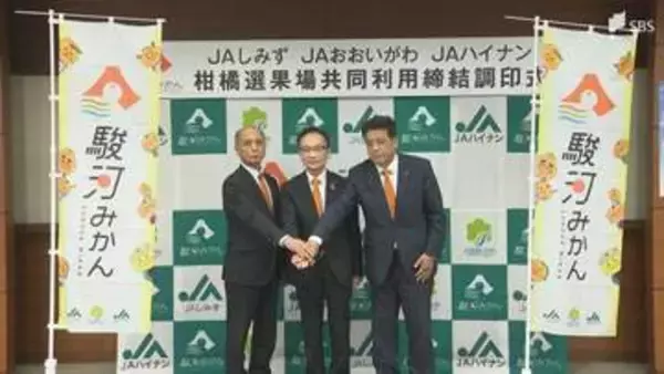 「農家の所得向上を目標に掲げている」3つのJAが選果場を集約へ 新たな柑橘統一ブランド名は「駿河みかん」=静岡