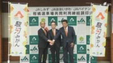 「農家の所得向上を目標に掲げている」3つのJAが選果場を集約へ 新たな柑橘統一ブランド名は「駿河みかん」=静岡