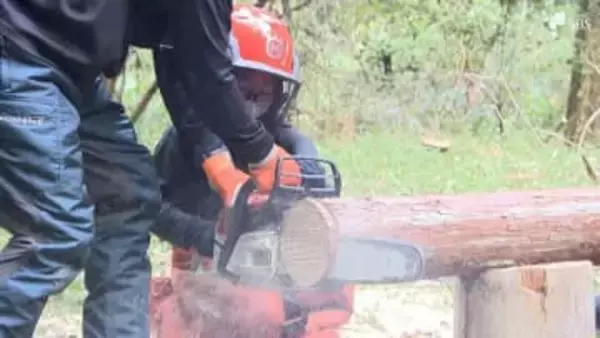 「自分たちは自然の恵みとひとつなんだと感じて」天竜川沿いの浜松市で「もりうみfestival」子供たちが「玉切り」などを体験