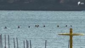 【浜名湖・男子高校生殺害事件】控訴審で弁護側は殺意を否定「量刑が重すぎる」 1審は懲役17年の判決＝東京高裁