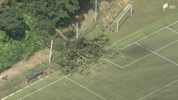 【続報】御殿場市のサッカーグラウンドで試合中に倒木 未就学の女児含む7人が救急搬送…命に別状なし＝静岡