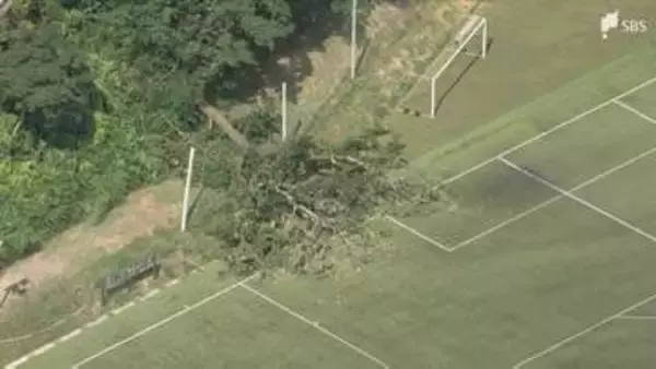 【詳報】「木がバウンドするくらいの衝撃で倒れた」サッカーグラウンドで倒木 未就学の女児2含む7人重軽傷 観戦していた保護者らを直撃... 給水タイム中に発生＝静岡