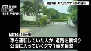 裾野市で新たにクマの目撃 市街地に近い住宅地＝静岡・裾野市