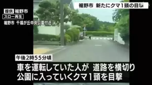 裾野市で新たにクマの目撃 市街地に近い住宅地＝静岡・裾野市
