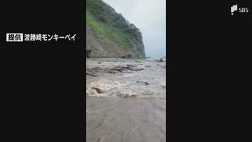「とてもじゃないけど開園できない」ダブル台風で雨脚強まる 南伊豆町の観光スポット「波勝崎モンキーベイ」に土砂流入