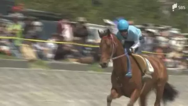 さがら草競馬大会疾走する姿に歓声 竜巻からの復興願い「ばん馬」を招待=静岡・牧之原市