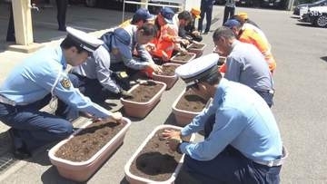 高速道路での重大事故根絶へ願い込めヒマワリの種まき 「ひまわりの絆プロジェクト」の一環＝静岡県警高速隊