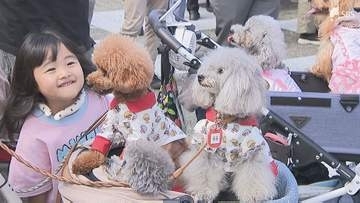 浜名湖を愛犬家の聖地に！新プロジェクト「浜名湖八犬伝」開幕でオープニングイベント開催＝浜松市