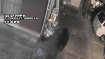 列車と接触か JR東海道線線路脇でクマの死骸 市街地で目撃されたものと同一個体の可能性=静岡・掛川市【速報】