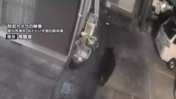 列車と接触か JR東海道線線路脇でクマの死骸 市街地で目撃されたものと同一個体の可能性=静岡・掛川市【速報】