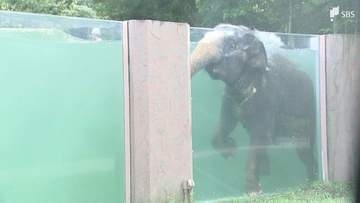 2日連続の猛暑日...浜松市佐久間で38.0℃  県内では熱中症の疑いで17人が救急搬送＝静岡県