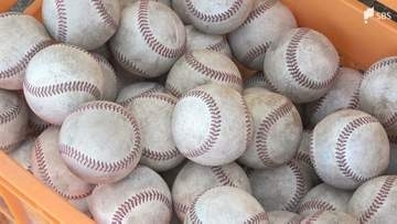 秋の高校野球東海大会で史上初の静岡県勢3校がベスト4！日大三島と常葉大菊川が決勝進出 春のセンバツ東海枠の行方は？