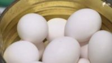「昔はこんなふうに安いところを探す必要なかった」"物価の優等生"卵の高止まり続く 円安や中東情勢によるエサ代高騰が直撃=静岡